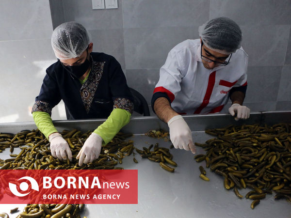 توانمندی های بخش کشاورزی شهرستان شبستر