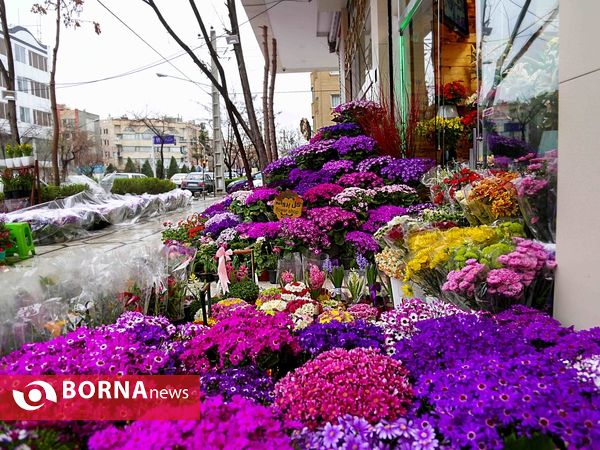 حال و هوای شهر مشهد در نخستین روزهای بهار