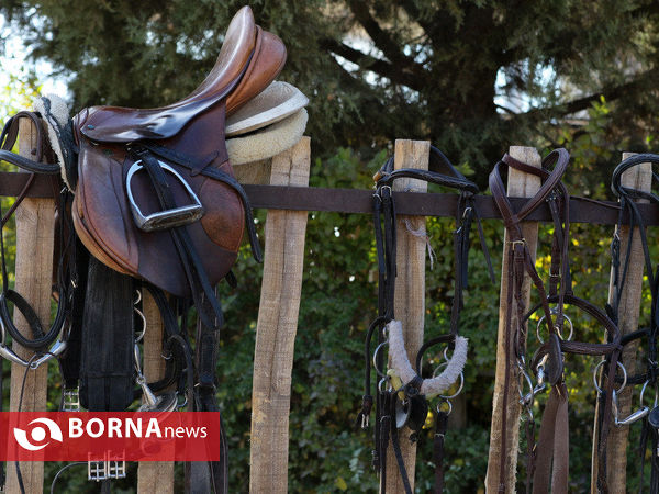 مسابقات پرش با اسب قهرمانی استان فارس