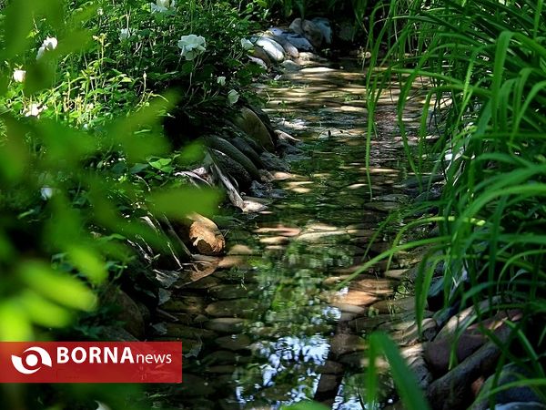 باغ ایرانی