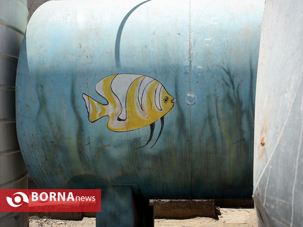 بازدید خبرنگاران از مراکز ویژه ساماندهی معتادان متجاهر