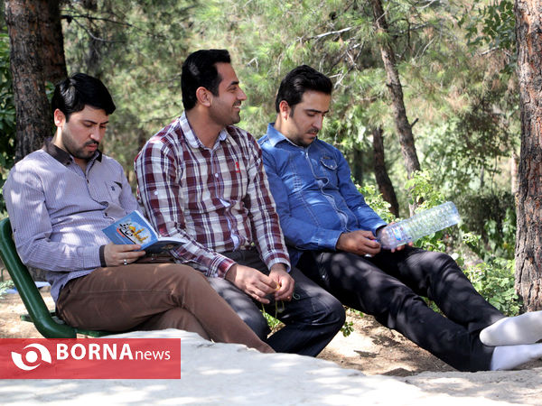 دعای عرفه در تپه الشهدای شیراز