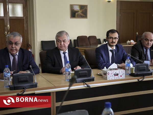 دیدار جابر انصاری با نماینده ویژه رییس جمهوری روسیه