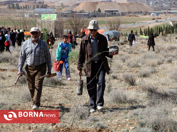 درختکاری مردم و سازمان های مردم نهاد -شیراز