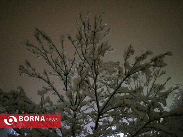 اولین برف زمستانی تهران