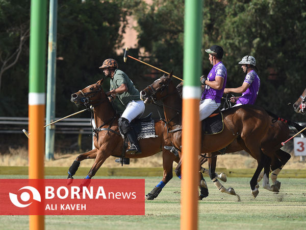 لیگ  ملی چوگان