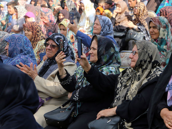 برداشت گل محمدی در روستای عنصرود