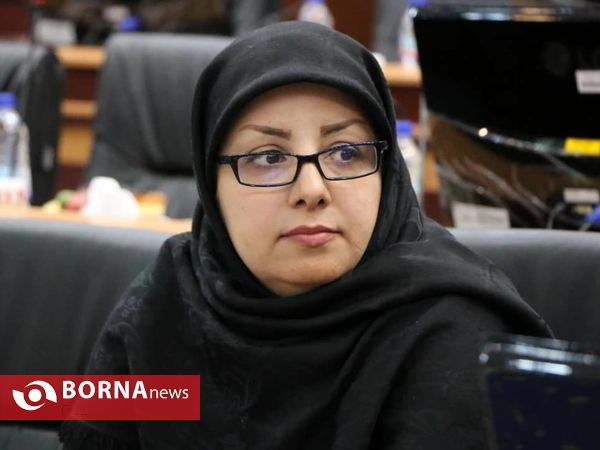 نشست هم انديشي روساي شوراهاي اسلامي استان ها