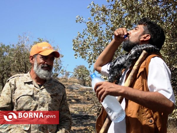 مهار آتش در ارتفاعات پاسارگاد