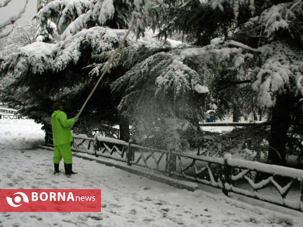 بارش نخستین برف پاییزی در تهران