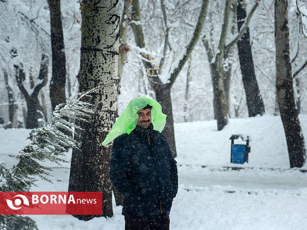 بارش برف در تهران-۴