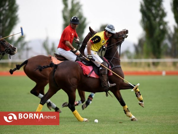 ،مسابقات چوگان جام هفته دفاع