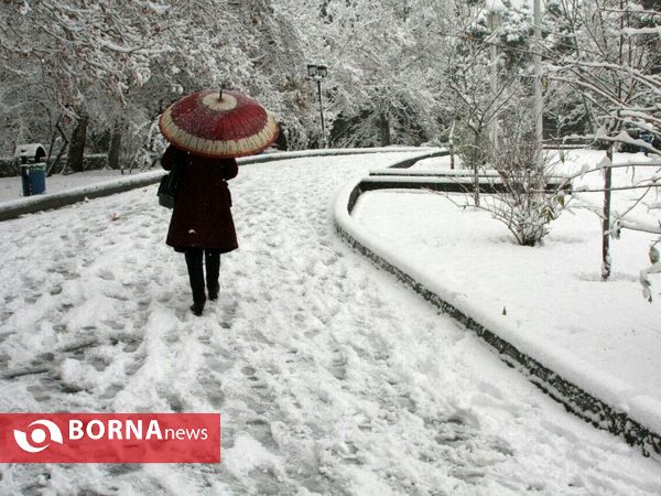 بارش نخستین برف پاییزی در تهران
