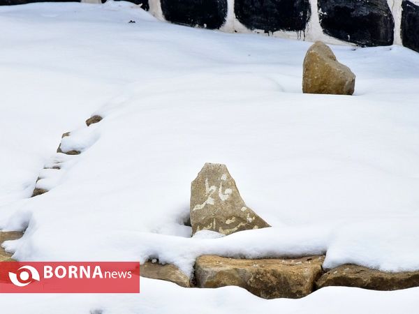 نمایشگاه کوچه های بنی هاشم