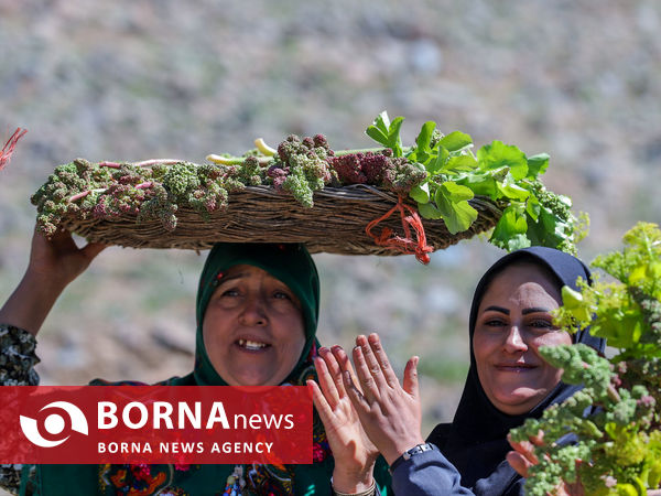 جشنواره ریواس در روستای تاریخی راوه