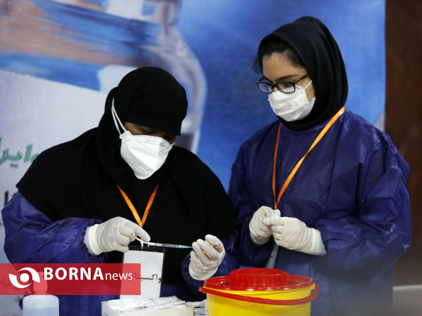 آغاز تزریق واکسن ایران برکت به داوطلبان