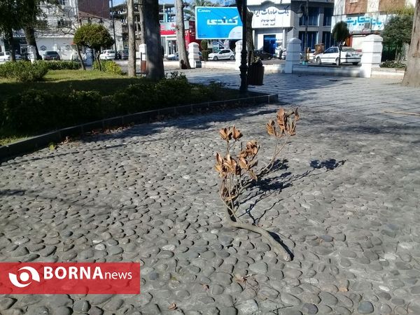 هوای گرم و آفتابی امروز رشت