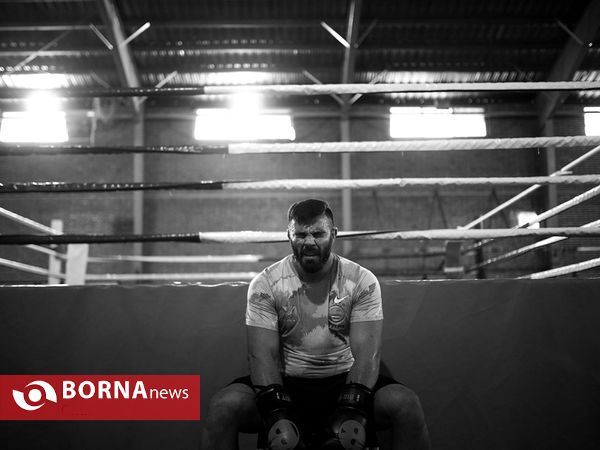 امیر علی اکبری قهرمان رشته MMA