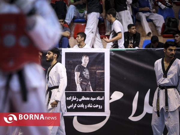لیگ برتر تکواندو