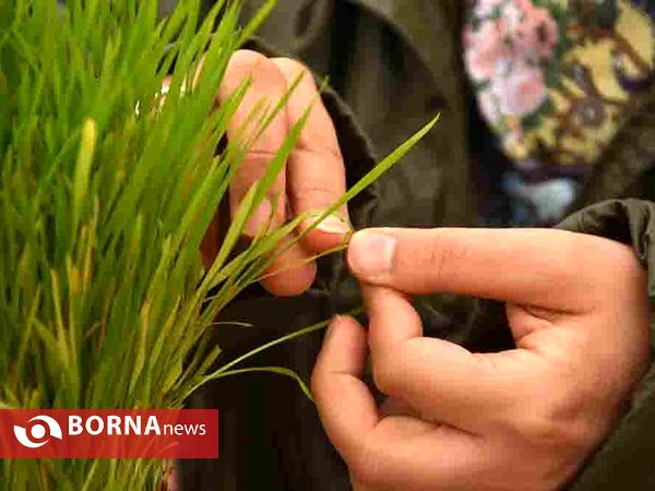 ۱۳ فروردین روز طبیعت -  تهران