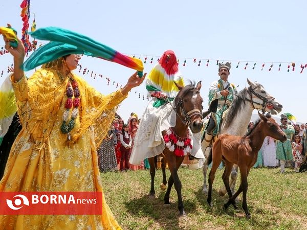 جشن ازدواج در عشایر ایل بزرگ قشقایی