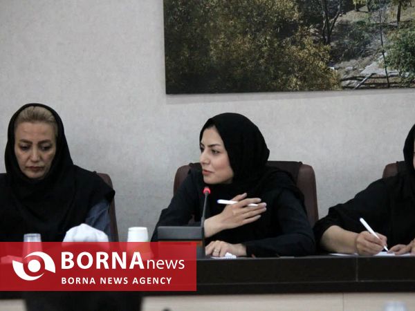 برگزاری چهاردهمین رویداد ملی همنا در استان کردستان
