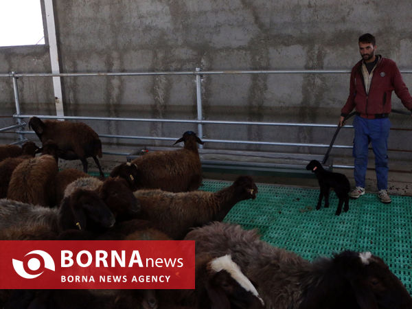 توانمندی های بخش کشاورزی شهرستان شبستر