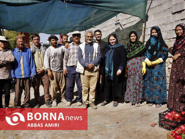 دقیقه 90 برداشت انار کوهمره سرخی