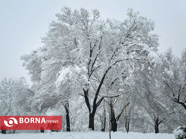 بارش برف در تهران-۴