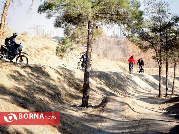 در حاشیه تمرینات دوچرخه سوران کوهستان- پارک چیتگر