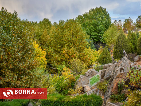 پاییز سراب عباس آباد شازند