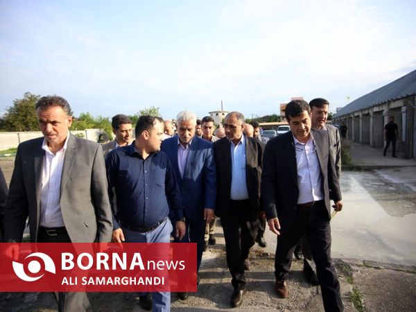 بازدید وزیر جهاد کشاورزی از ظرفیت های کشاورزی و شیلاتی بندرانزلی