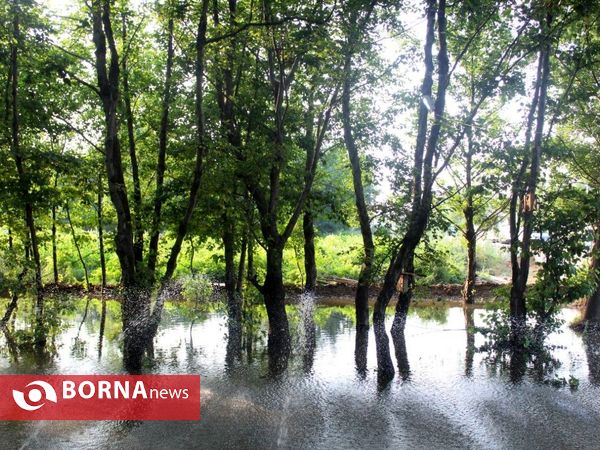 افتتاح پارک جنگلی و آبی توسکا شهرچاف و چمخاله