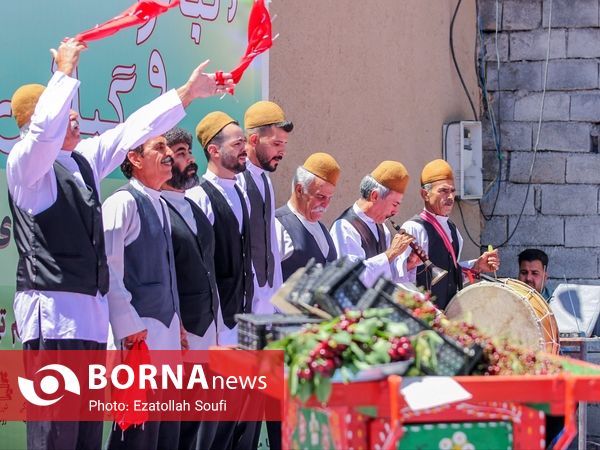 جشنواره آلبالو و گیلاس در دهستان اناج