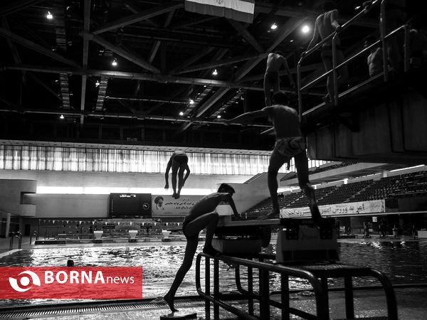 مرحله نهایی لیگ برتر شیرجه