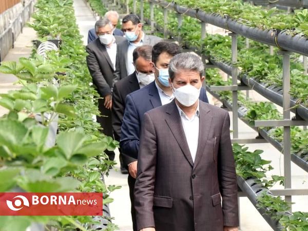 بازدید مسئولین استانی آذربایجان‌غربی از پروژه‌های شهر سرو