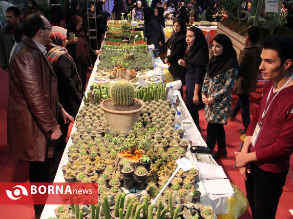 نمایشگاه گل و گیاه-شیراز