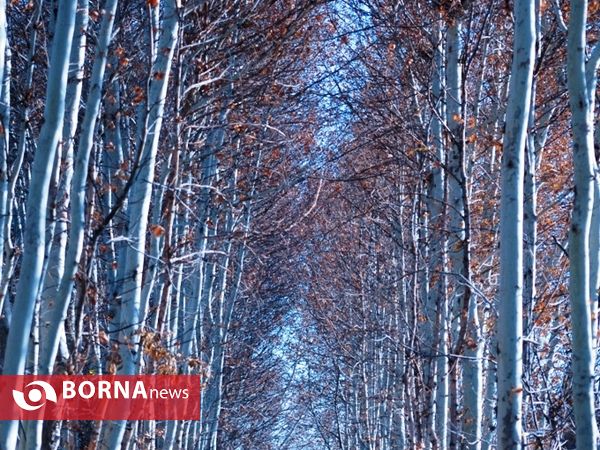 آخرین لحظات پاییزی