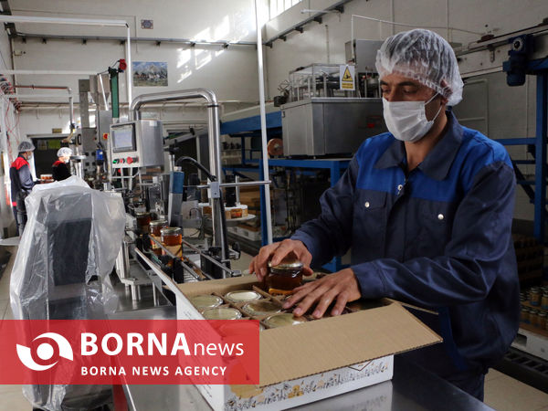 توانمندی های بخش کشاورزی شهرستان شبستر