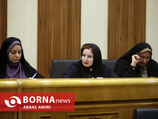 نشست هم اندیشی «فارس در قله» 