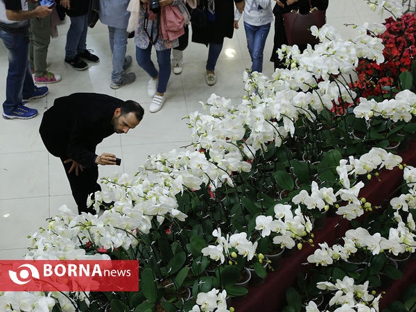 شانزدهمین نمایشگاه بین المللی گل و گیاه تهران