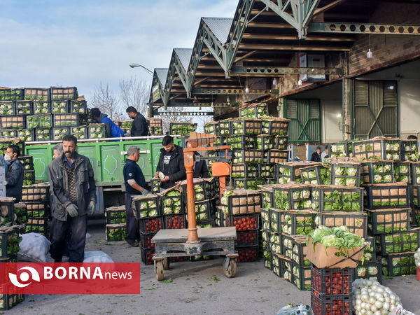 میدان میوه و تره بار در روزهای پایانی سال