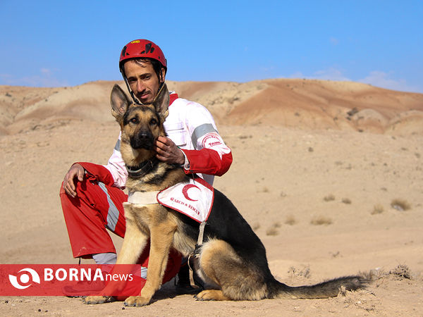 بازدید خبرنگاران از مرکز آموزش و نگهداری سگ های تجسس