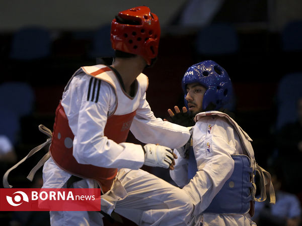 لیگ برتر تکواندو