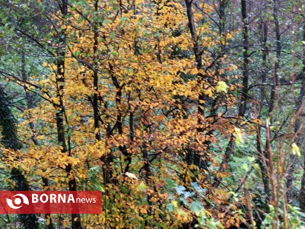 آخرین روز پاییز ۹۷ در استان گیلان