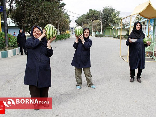 برگزیده گزارش های تصویری مهر ۱۳۹۴