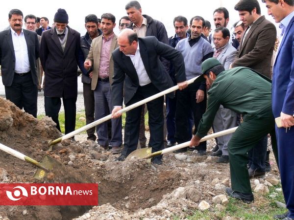 آغازفعالیتهای درختکاری در رومشکان درآستانه هفته منابع طبیعی
