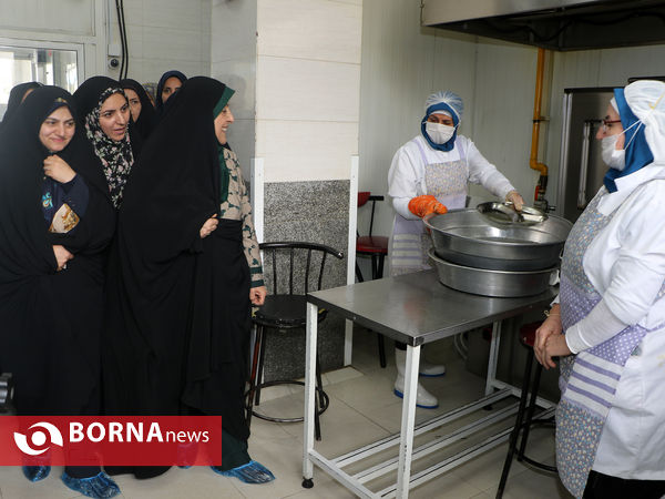 بازدید معاون رییس جمهور از طرح توانمندسازی زنان سرپرست خانوار در شیراز