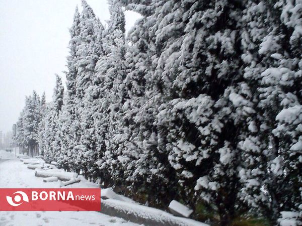 بارش نخستین برف پاییزی در تهران