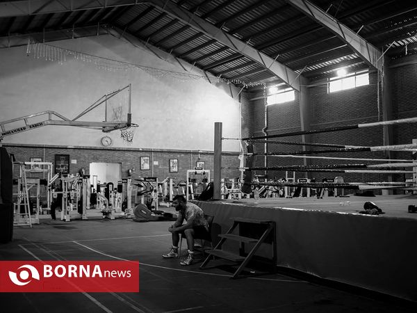 امیر علی اکبری قهرمان رشته MMA